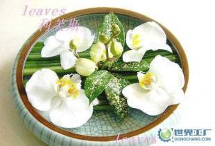 禮品花卉銷售 鮮花、觀葉植物與綠化租賃服務的綜合解決方案