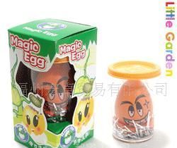 迷你植物無土栽培 蛋殼魔土打造創意禮品花卉