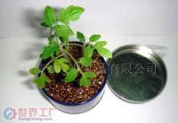 福州統領文具禮品丫丫小花園 高品質禮品花卉銷售專家