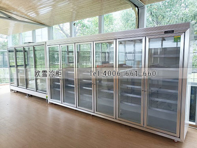 農產品展銷配送中心食品冷藏冷凍展示柜選購指南與禮品花卉銷售策略