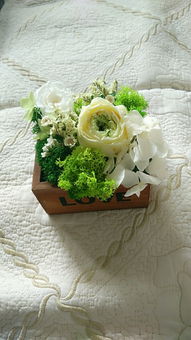 圣誕禮品選購指南 裝飾、花卉與節慶百貨全攻略