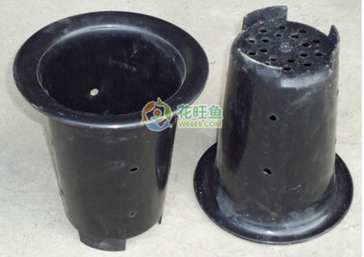 陽臺園藝之選 黑色蘭花塑料花盆與花架批發指南