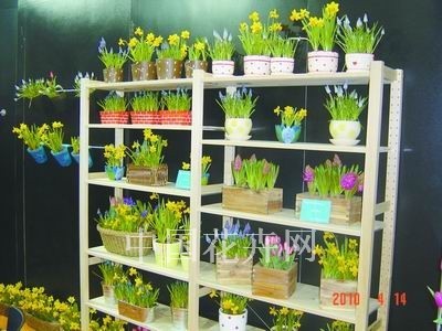 外國展商瞄準中國禮品花卉市場需求 看好市場前景